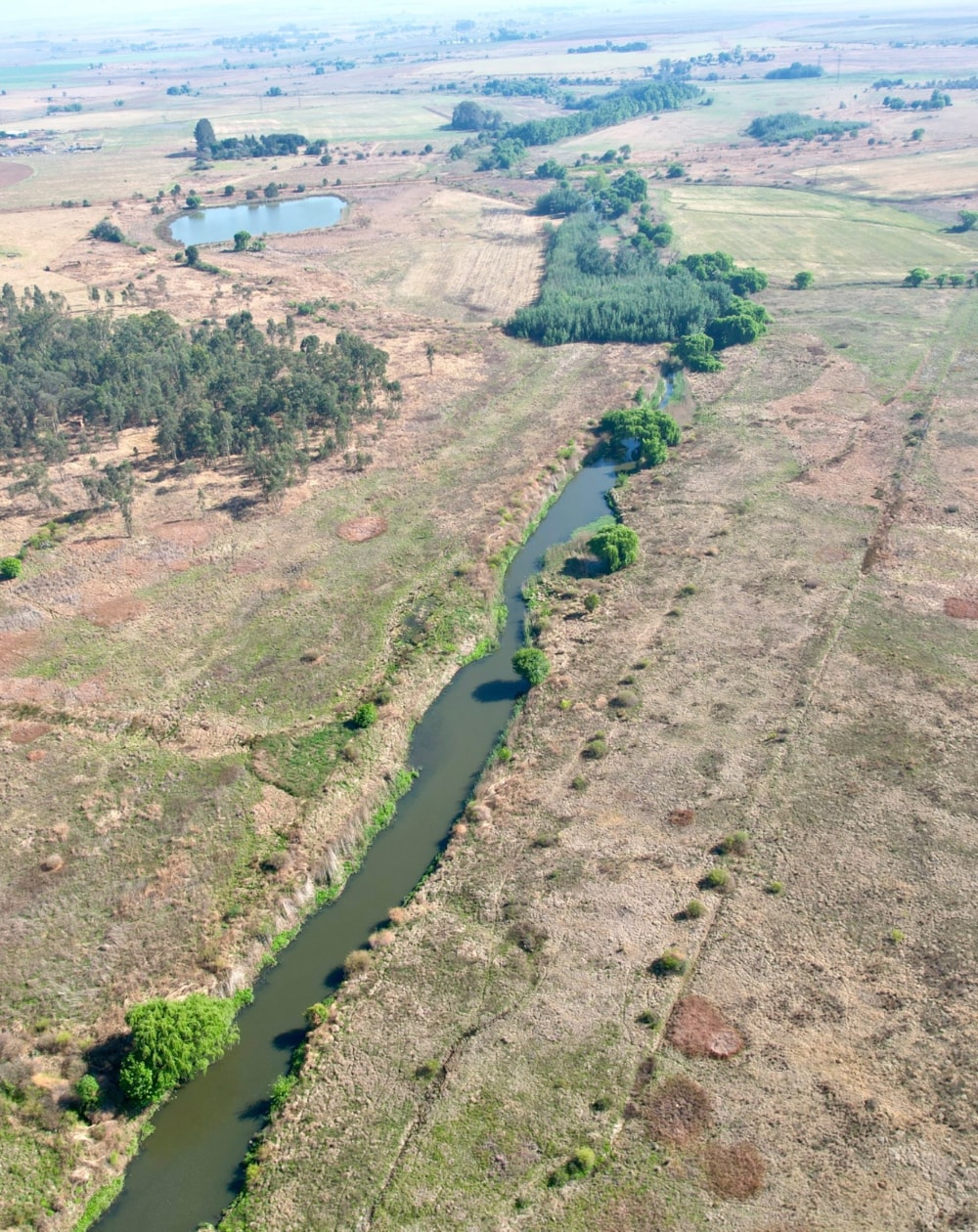 Farm vacant land for sale in Delmas - PRN1716865 Farm vacant land for sale in Delmas - PRN1716865