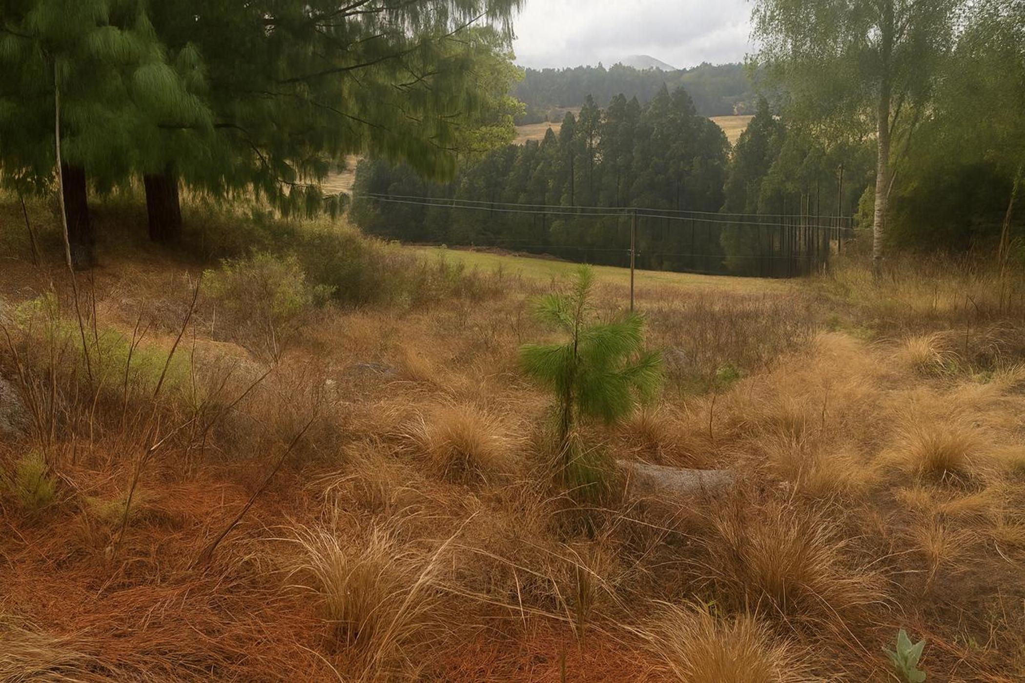 Vacant land for sale in Dullstroom - 1DS1712143