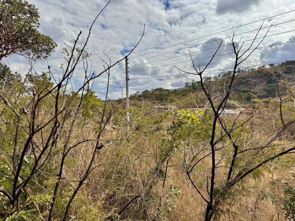 Residential vacant land to rent in Gletwin Park, Zimbabwe - 3ZB1716645 Residential vacant land to rent in Gletwin Park, Zimbabwe - 3ZB1716645
