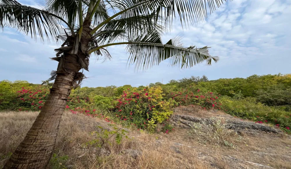 Residential vacant land for sale in Diani, Kenya - 3KE1717068 Residential vacant land for sale in Diani, Kenya - 3KE1717068