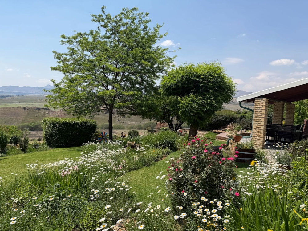 House for sale in Clarens - 1CS1714449