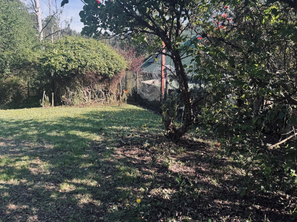 Vacant land for sale in Byrne - 1PM1718663 Vacant land for sale in Byrne - 1PM1718663