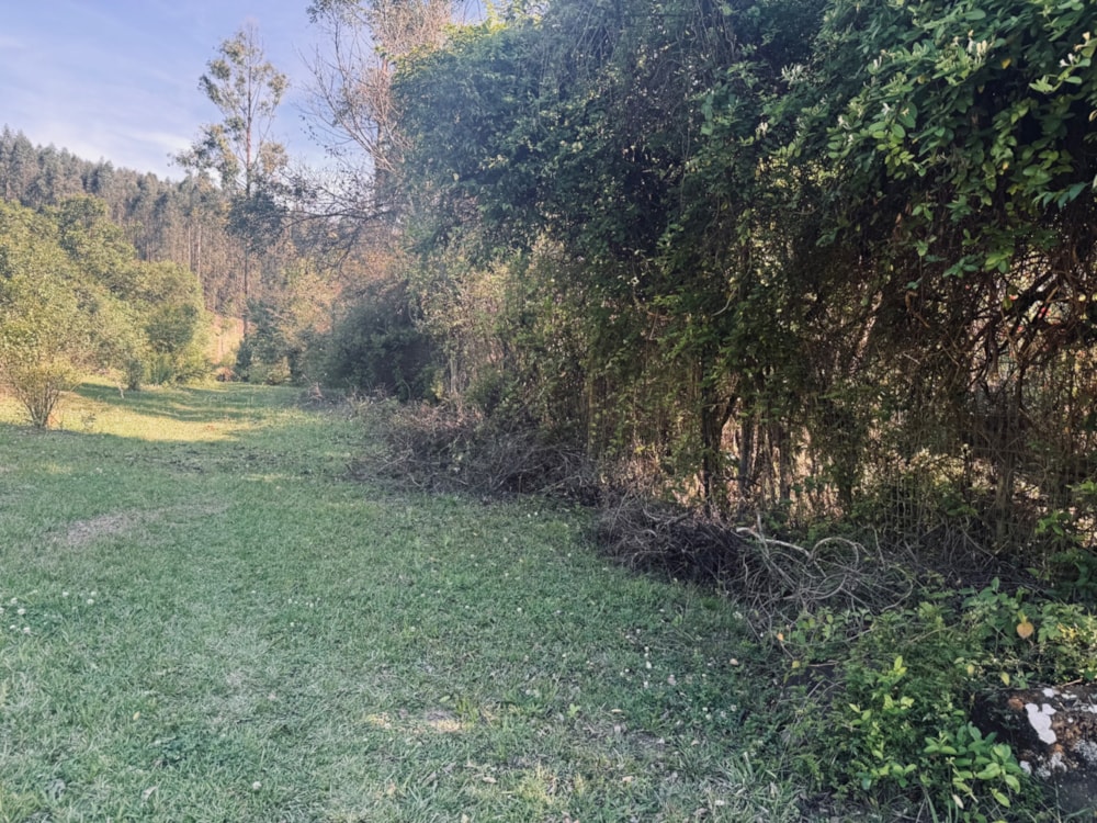 Vacant land for sale in Byrne - 1PM1718663 Vacant land for sale in Byrne - 1PM1718663