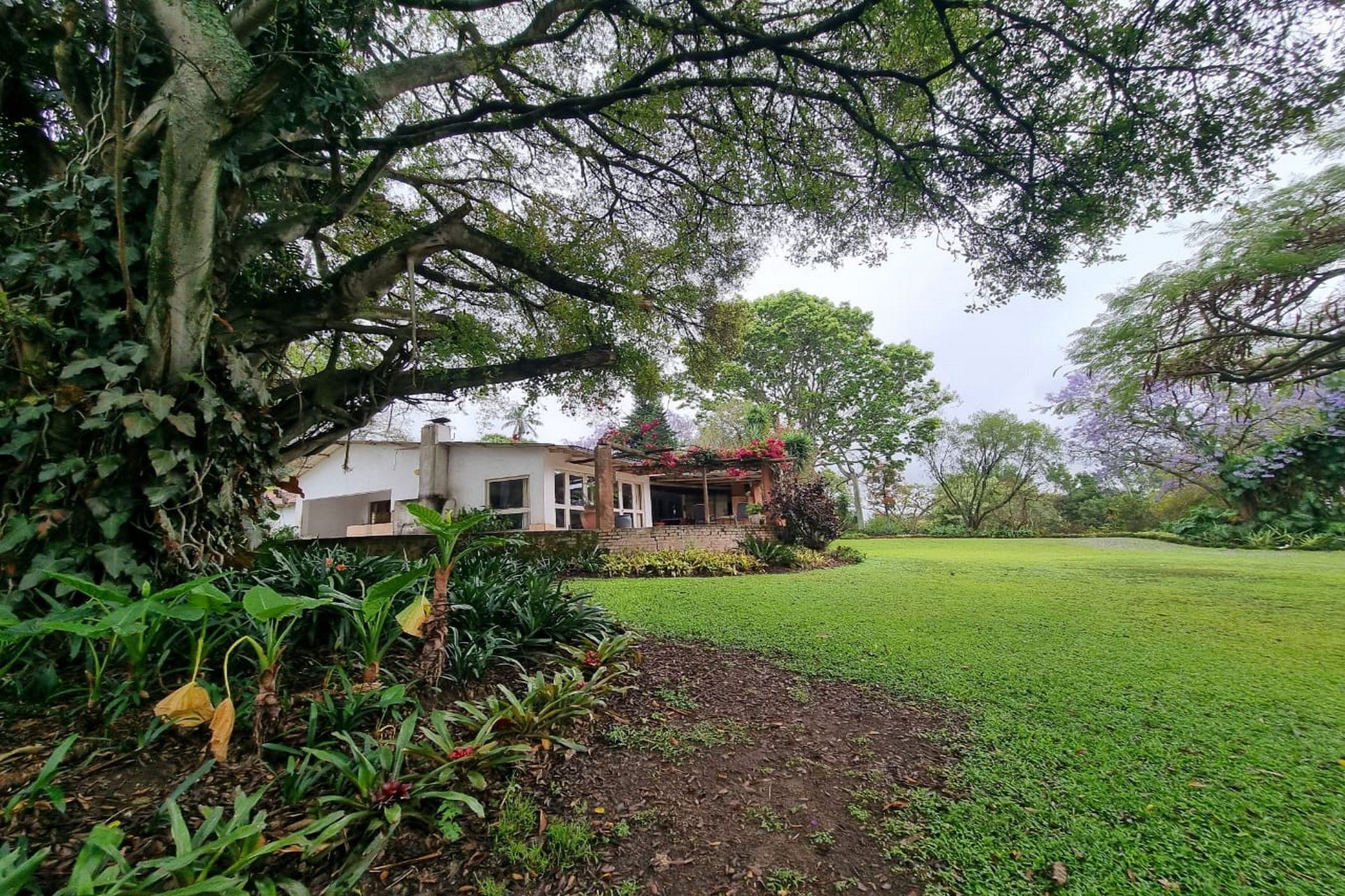 Smallholding for sale in White River AH - 1WR1716439