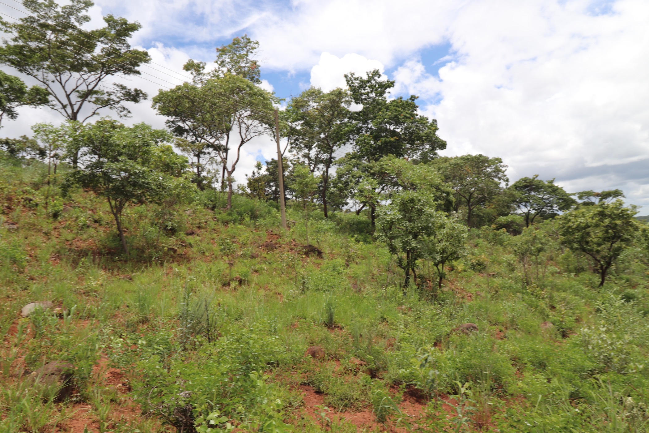 Vacant land for sale in Helensvale, Zimbabwe - 3ZB1716646