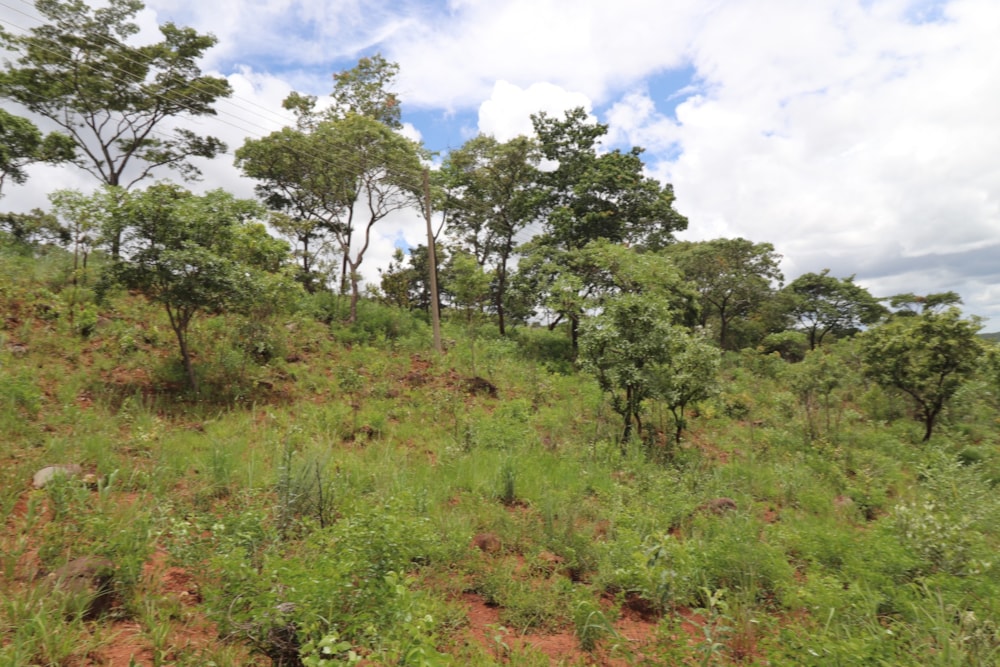 Vacant land for sale in Helensvale, Zimbabwe - 3ZB1716646