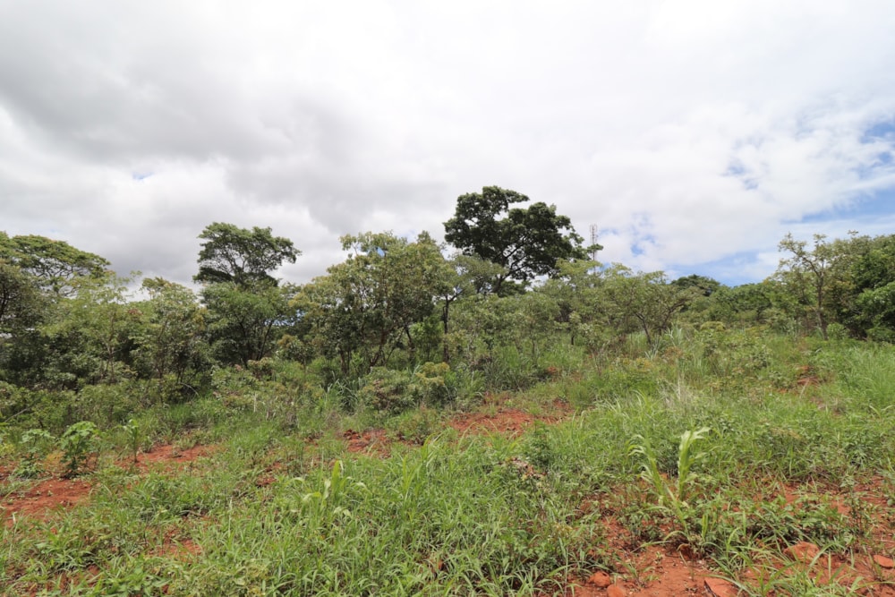 Vacant land for sale in Helensvale, Zimbabwe - 3ZB1716646 Vacant land for sale in Helensvale, Zimbabwe - 3ZB1716646