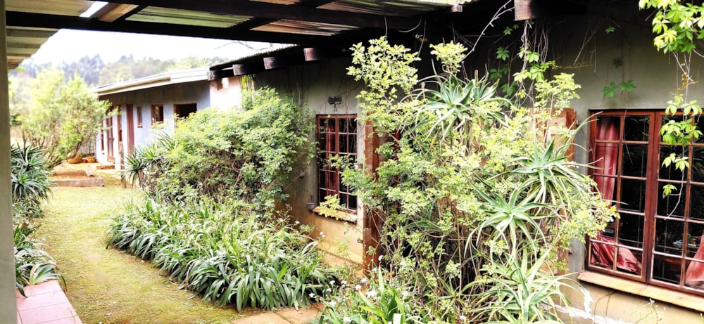 Smallholding for sale in Dargle - 1PM1716721