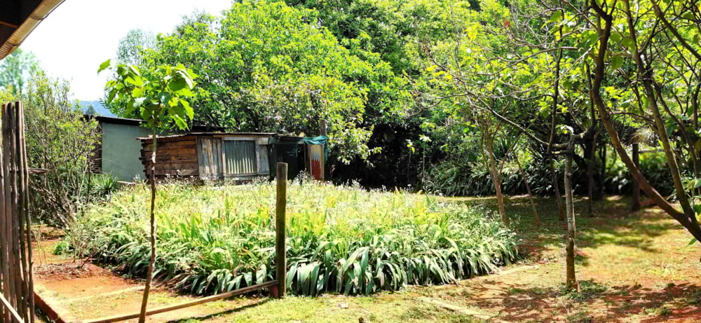 Smallholding for sale in Dargle - 1PM1716721