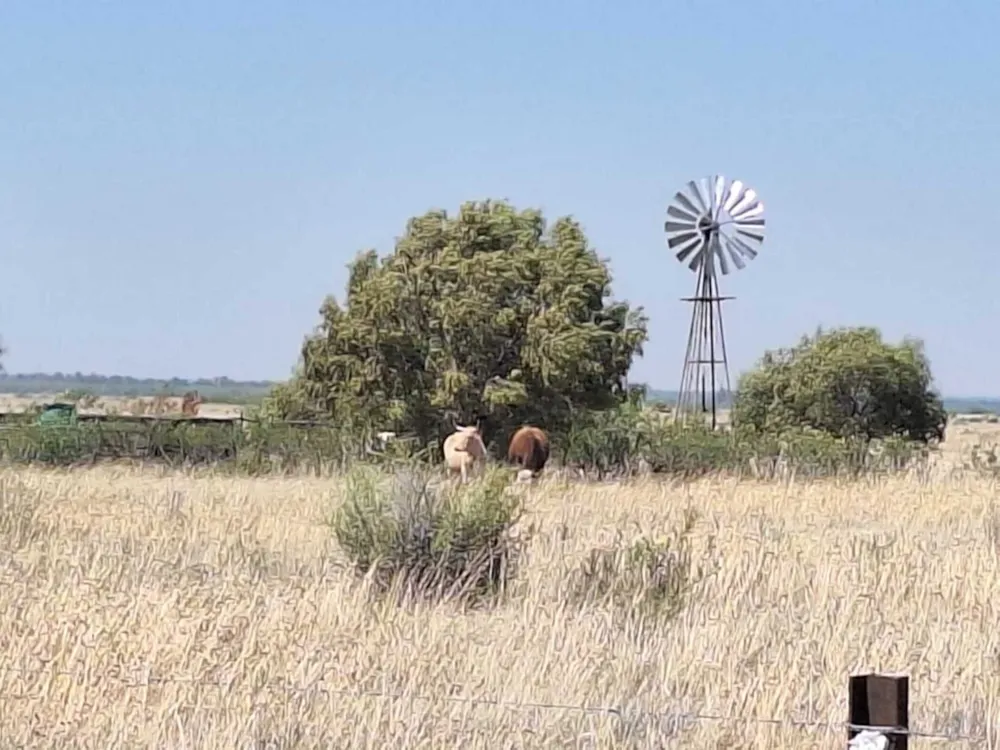 Aquaculture farm sold in Bloemhof, North West Province - 1KJ1716778 Aquaculture farm sold in Bloemhof, North West Province - 1KJ1716778