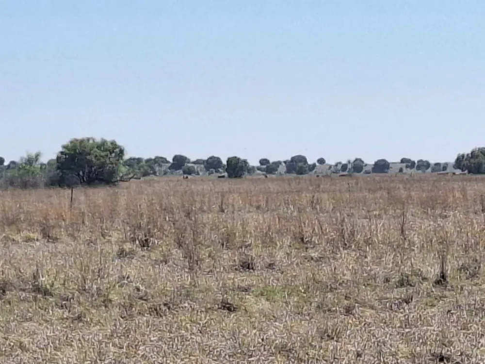Aquaculture farm sold in Bloemhof, North West Province - 1KJ1716778 Aquaculture farm sold in Bloemhof, North West Province - 1KJ1716778