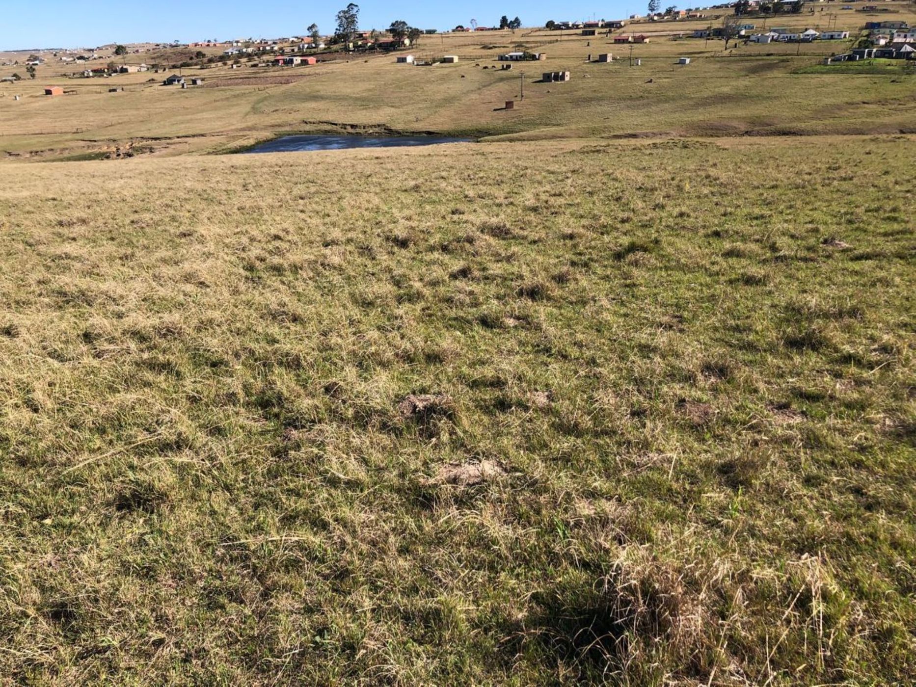 Vacant land for sale in Mthatha Rural - 1MH1716898