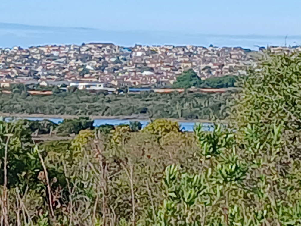 Farm vacant land for sale in Jeffreys Bay - 1JF1717085