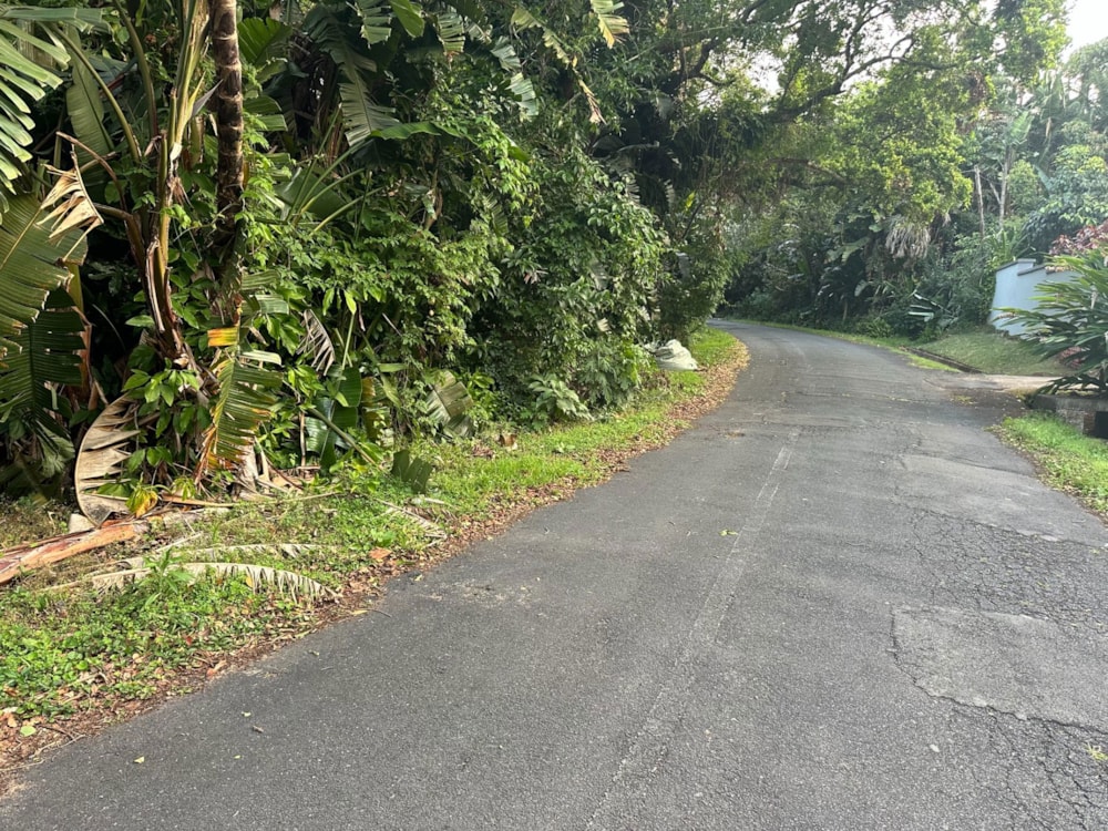 Residential vacant land for sale in Southbroom - 1PD1717174