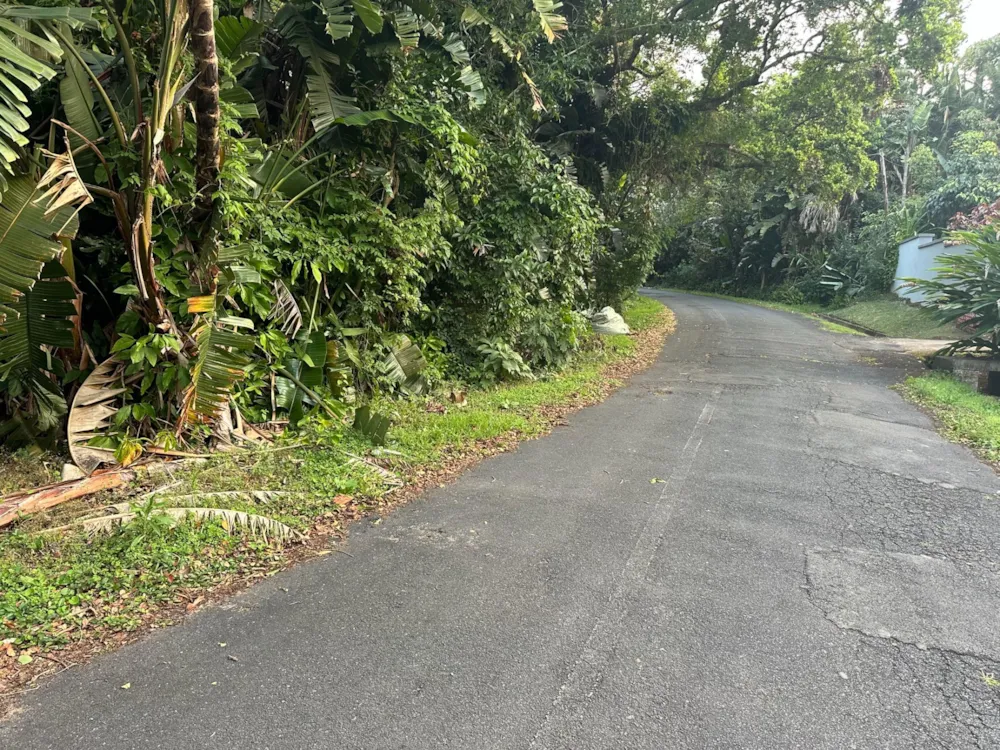 Residential vacant land for sale in Southbroom - 1PD1717176 Residential vacant land for sale in Southbroom - 1PD1717176