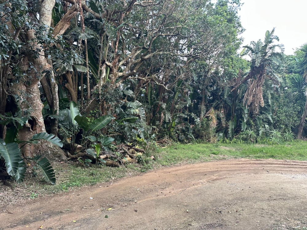 Residential vacant land for sale in Southbroom - 1PD1717177