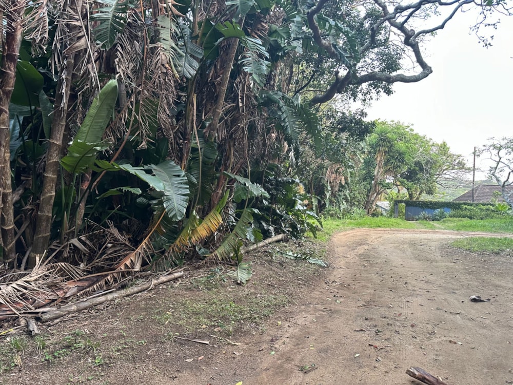 Residential vacant land for sale in Southbroom - 1PD1717177