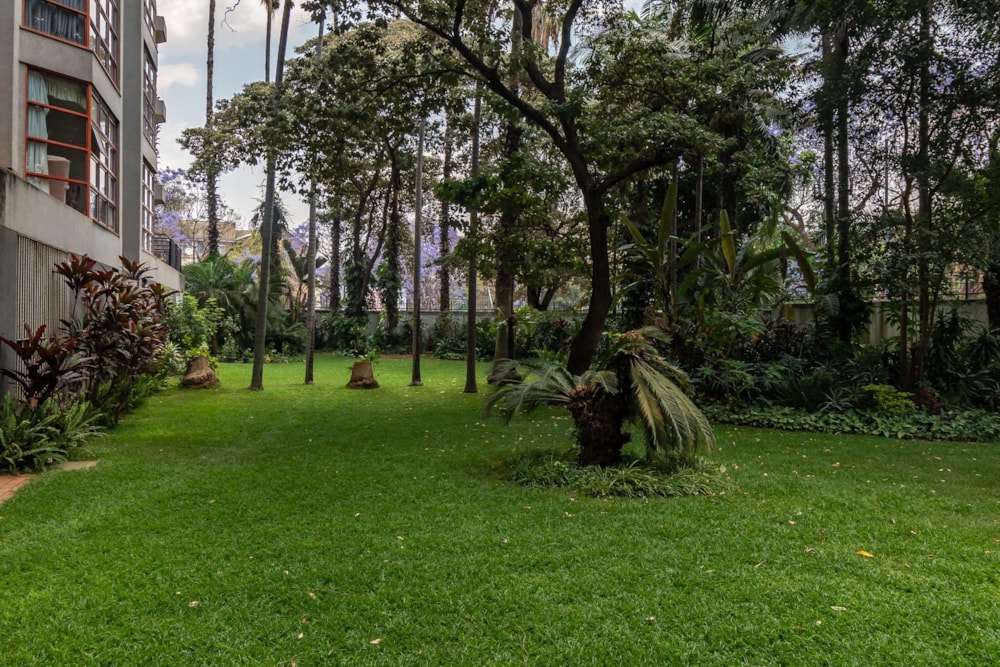 Apartment for sale in Avenues, Zimbabwe - 3ZB1718244