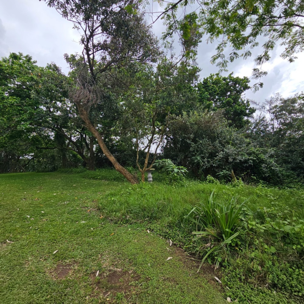 Residential vacant land for sale in Princes Grant - 1BD1717383 Residential vacant land for sale in Princes Grant - 1BD1717383