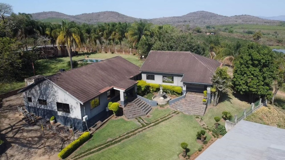 Banana farm for sale in Tzaneen, Limpopo Province - 1TA1717461 Banana farm for sale in Tzaneen, Limpopo Province - 1TA1717461