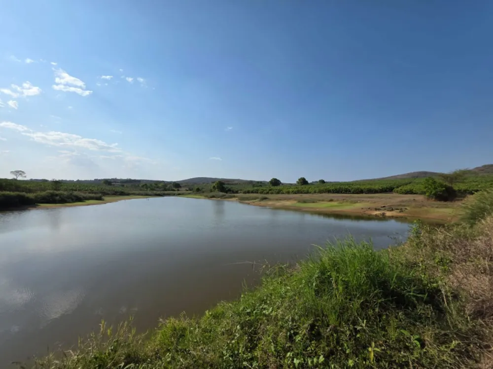 Mango farm for sale in Tzaneen, Limpopo Province - 1TA1717466