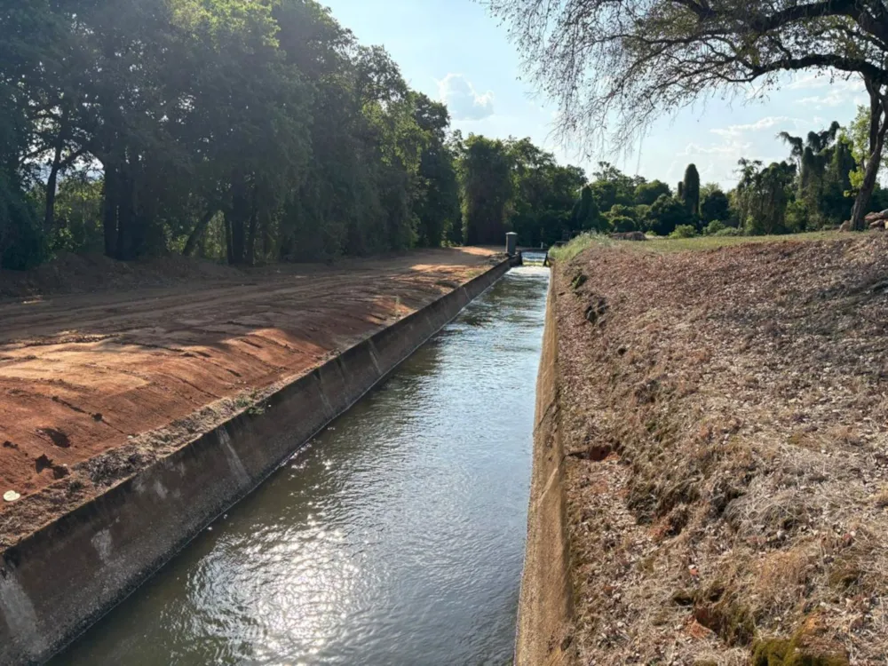 Mango farm for sale in Tzaneen, Limpopo Province - 1TA1717466