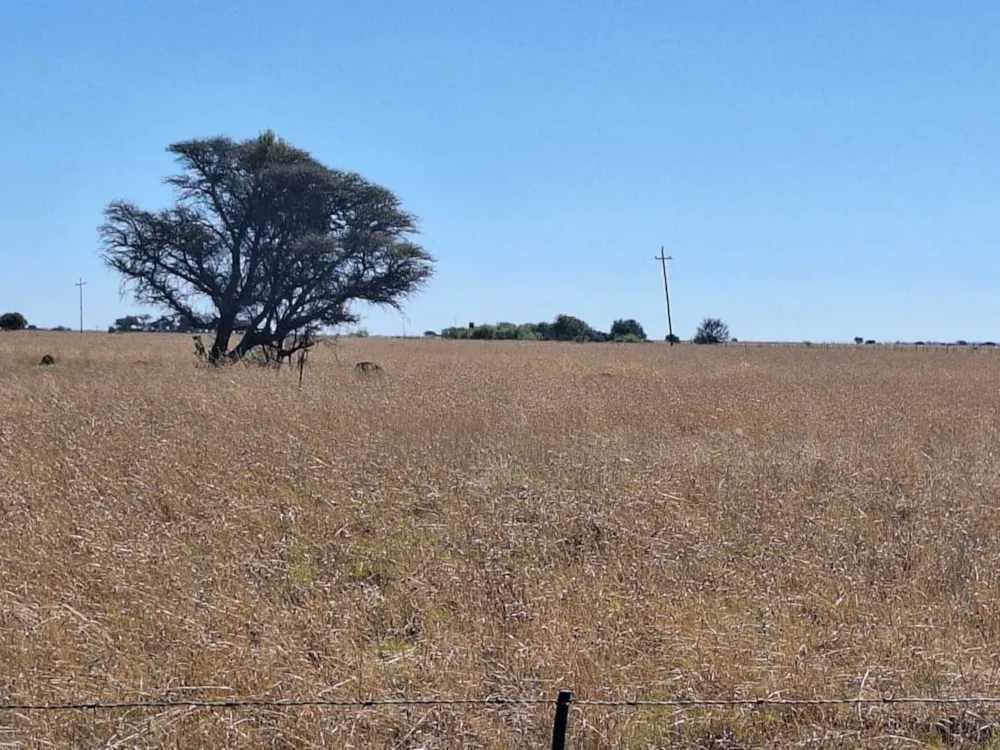 Farm vacant land sold in Bloemhof, North West Province - 1KJ1717475