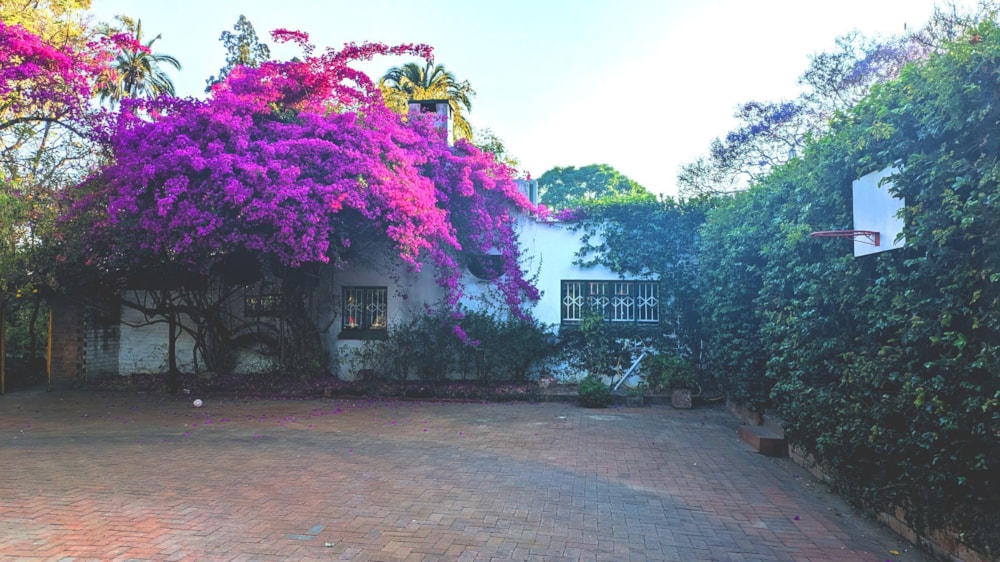 House for sale in Greendale, Zimbabwe - 3ZB1718928 House for sale in Greendale, Zimbabwe - 3ZB1718928