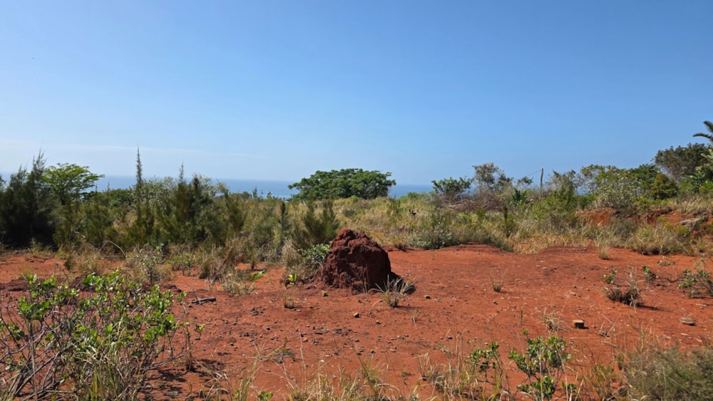 Residential vacant land for sale in Port Edward - 1PD1717547