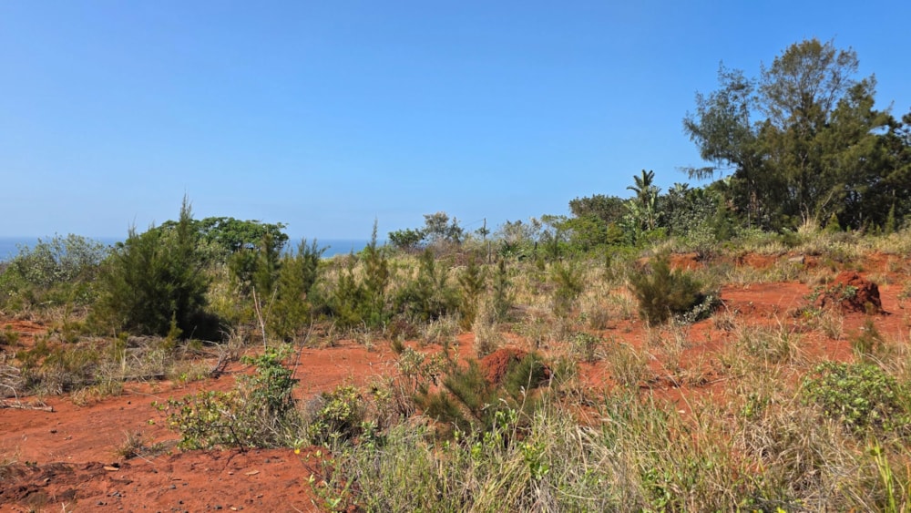 Residential vacant land for sale in Port Edward - 1PD1717547