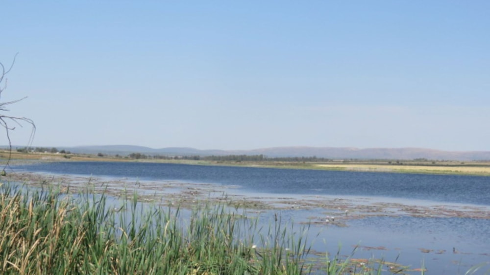 Irrigation farm for sale in Modimolle Rural - 1MDM1718074