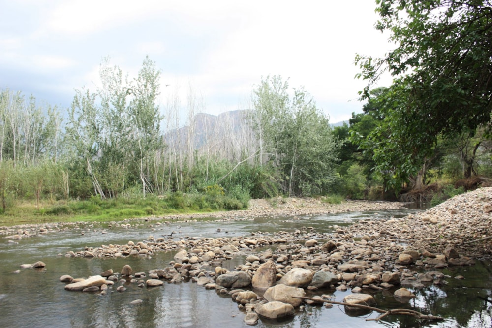 Vacant land for sale in Lydenburg Rural (Mashishing Rural)  - 1LY1717848