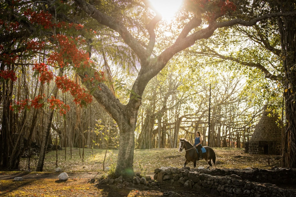 Apartment for sale in Mont Choisy Le Parc, Mauritius - MPR1717924