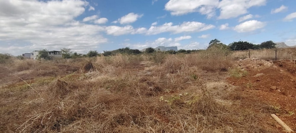 Residential vacant land for sale in Flic en Flac, Mauritius - MUR1717986