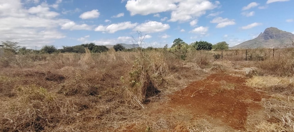 Residential vacant land for sale in Flic en Flac, Mauritius - MUR1717986