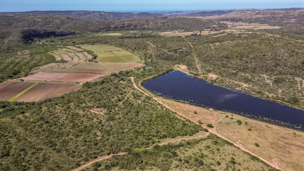 Crop farm for sale in Kwelera - 1EZ1718046 Crop farm for sale in Kwelera - 1EZ1718046