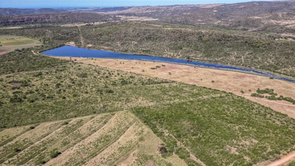 Crop farm for sale in Kwelera - 1EZ1718046 Crop farm for sale in Kwelera - 1EZ1718046