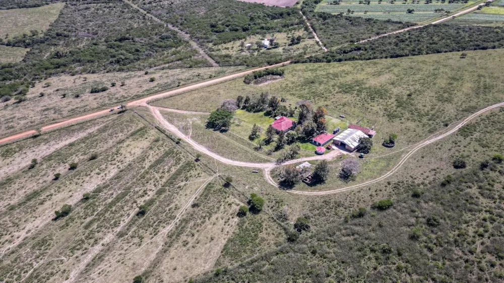 Crop farm for sale in Kwelera - 1EZ1718046 Crop farm for sale in Kwelera - 1EZ1718046