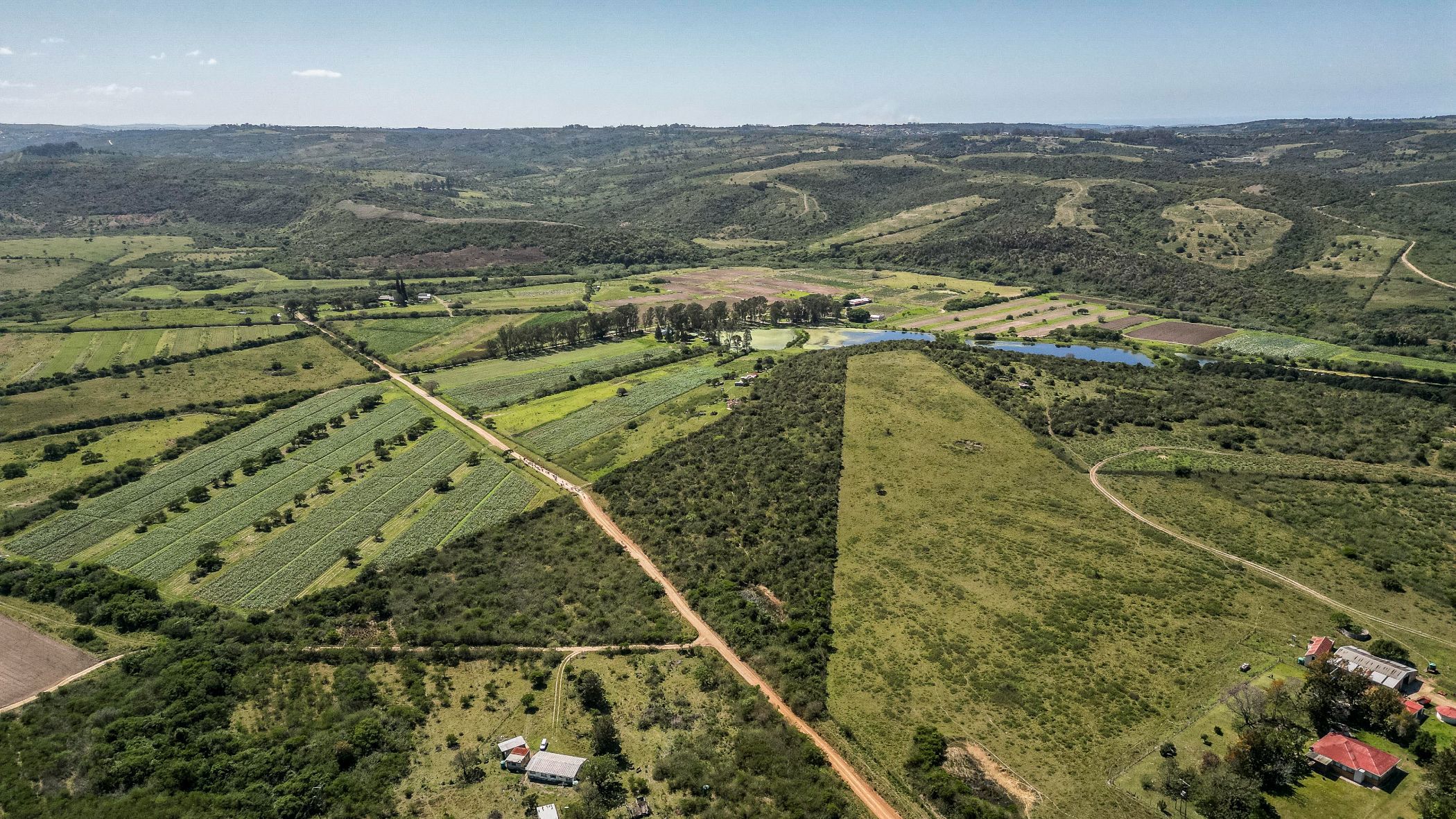 Crop farm for sale in Kwelera - 1EZ1718046