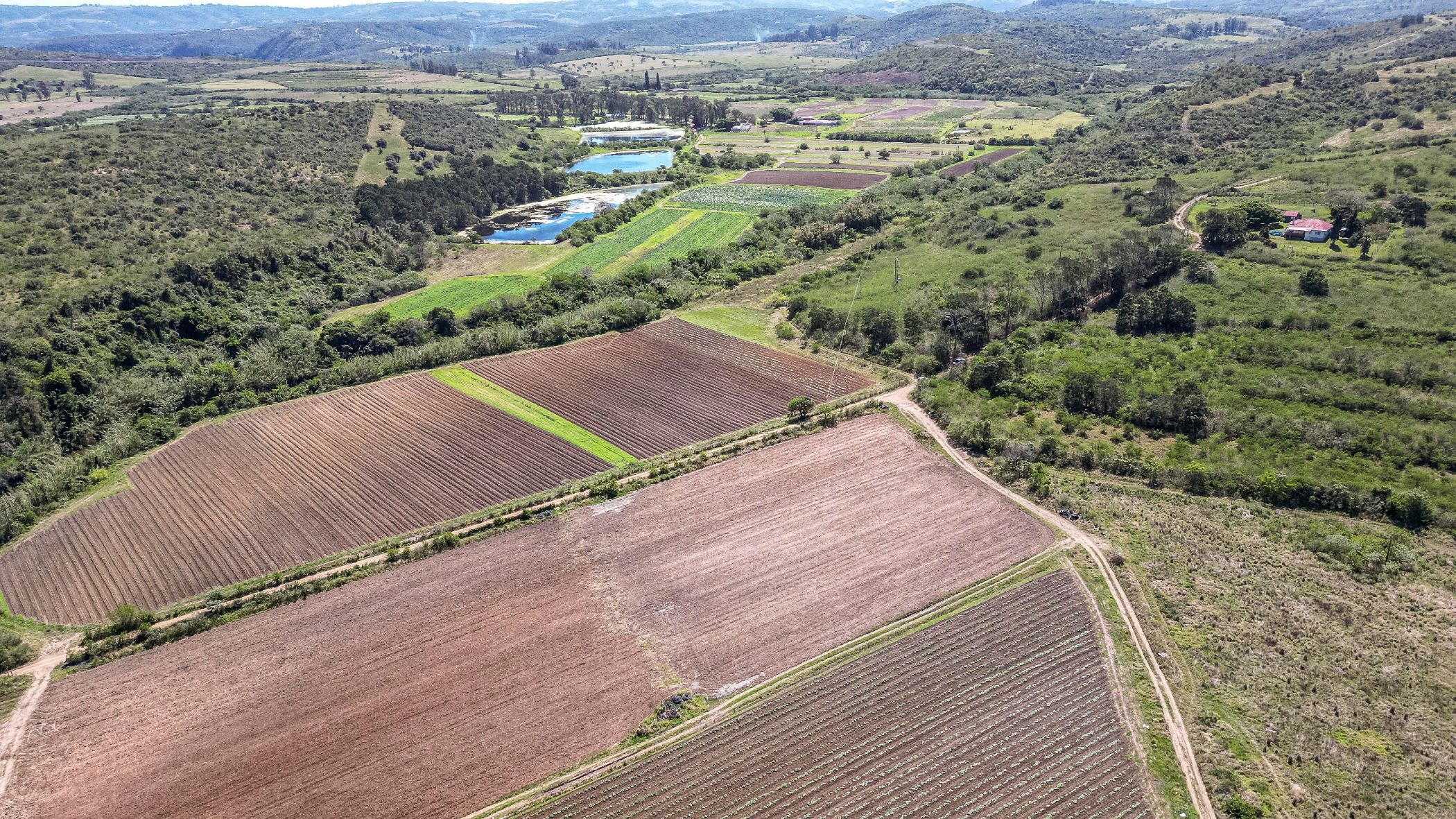 Crop farm for sale in Kwelera - 1EZ1718068