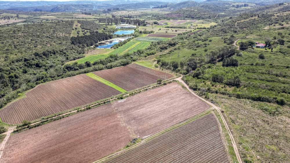 Crop farm for sale in Kwelera - 1EZ1718068 Crop farm for sale in Kwelera - 1EZ1718068