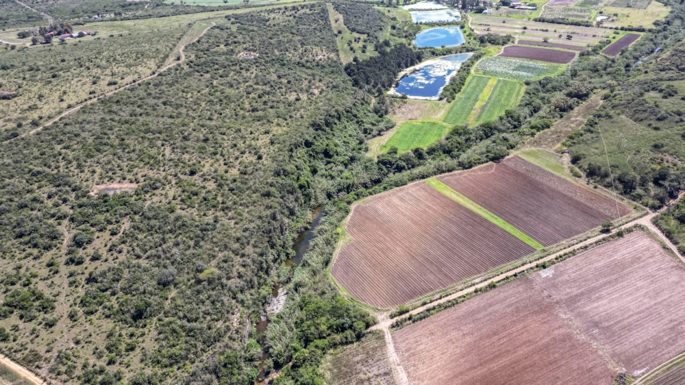 Crop farm for sale in Kwelera - 1EZ1718068 Crop farm for sale in Kwelera - 1EZ1718068