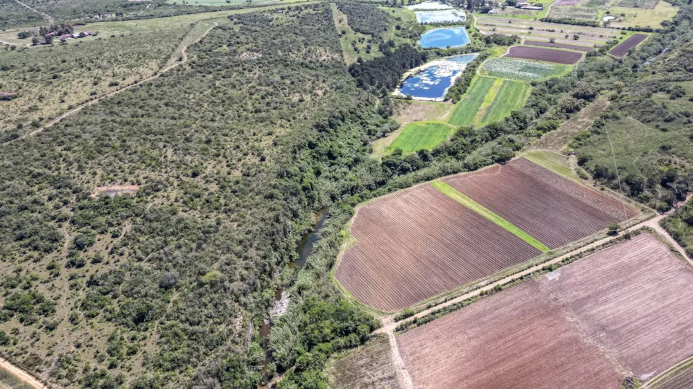 Crop farm for sale in Kwelera - 1EZ1718068 Crop farm for sale in Kwelera - 1EZ1718068