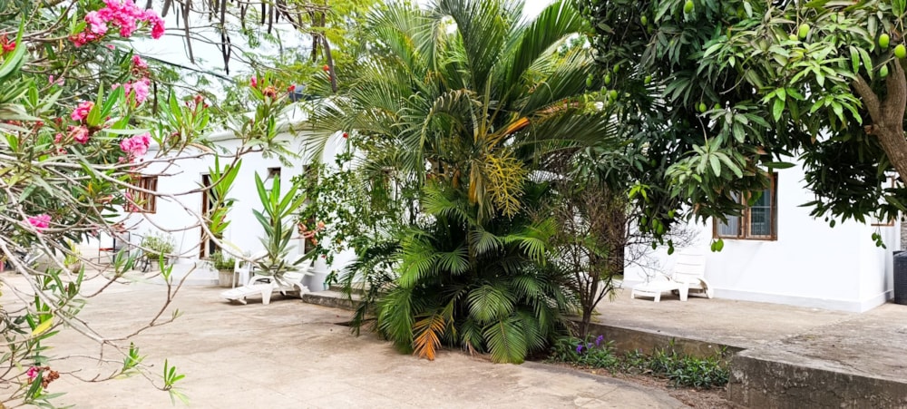 House for sale in Costa do Sol , Mozambique - 3MQ1719265