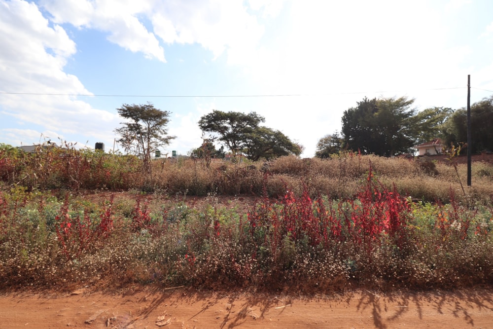Vacant land for sale in Borrowdale, Zimbabwe - 3ZB1718628