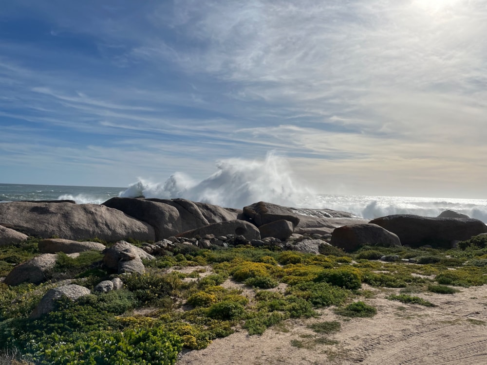 Residential vacant land for sale in Hondeklip Bay, Northern Cape - 1NA1718727 Residential vacant land for sale in Hondeklip Bay, Northern Cape - 1NA1718727