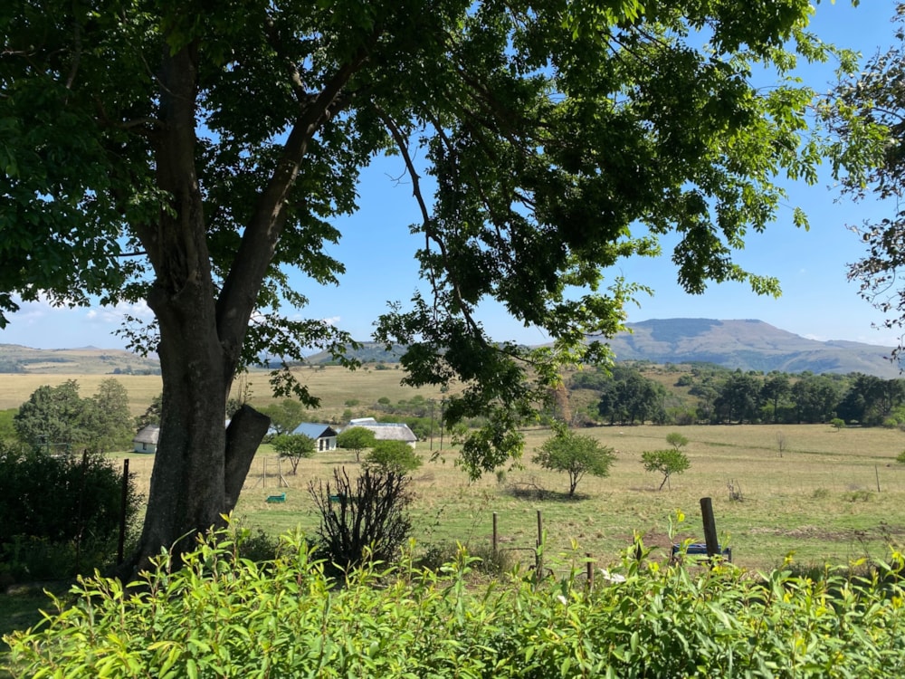 Mixed use farm for sale in Dannhauser - 1NW1718758