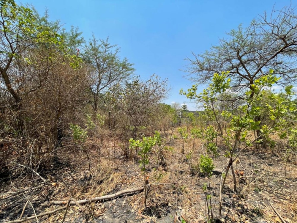 Vacant land for sale in Silverest, Zambia - 3ZA1719156