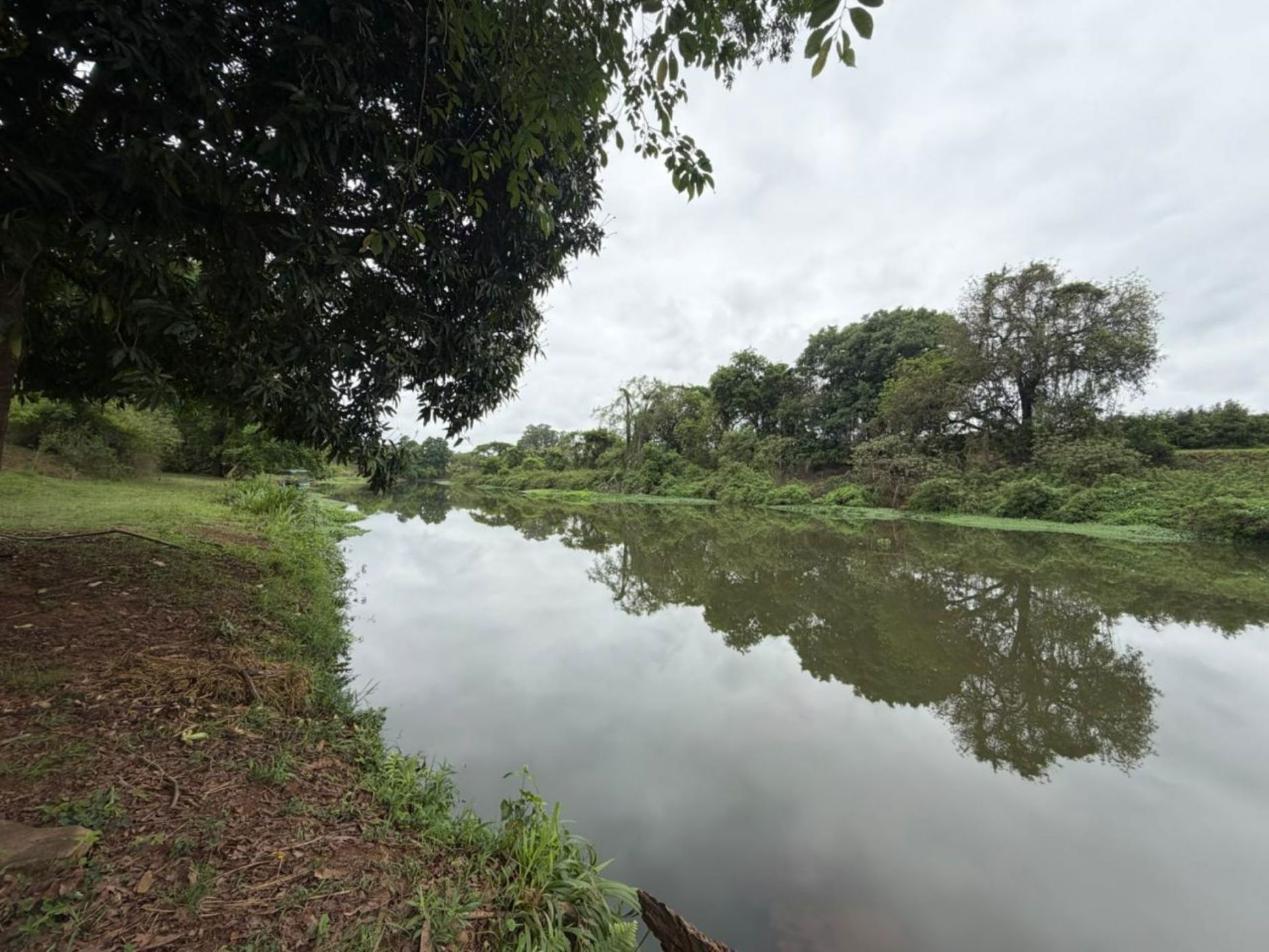 Smallholding for sale in Lushof A H - 1TA1719230