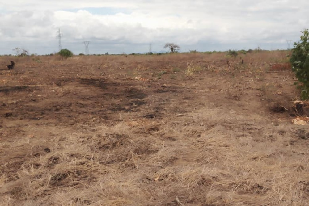 Vacant land for investment in Beira, Sofala, Mozambique - 3MQ1719233 Vacant land for investment in Beira, Sofala, Mozambique - 3MQ1719233